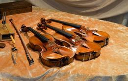 Adjusting Zyg copies 2-1