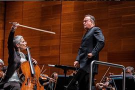 anne gastinel korngold