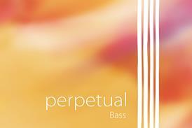 Pirastro_Bass_Perpetual_rgb
