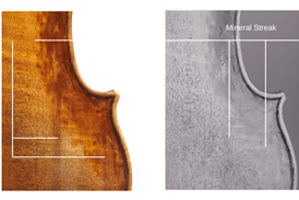 Figure 2b