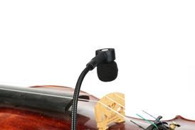 xvive 1
