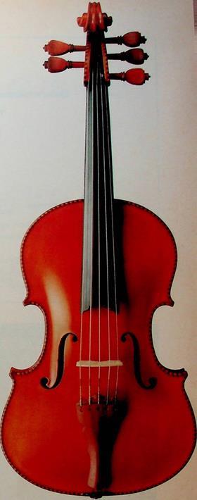 5 STRING VIOLA