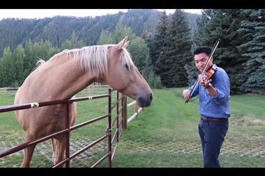 Ray Chen and Horses