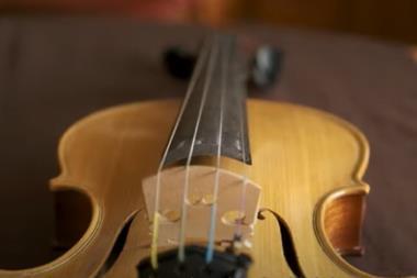 stellenbosch violin