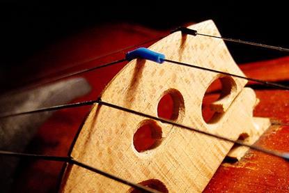 800px-Violin_bridge