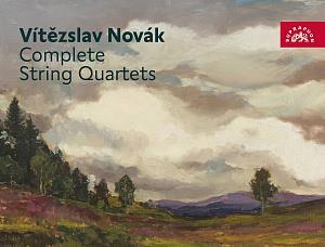 Novak Stamic Qt
