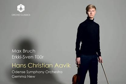 Bruch Aavik