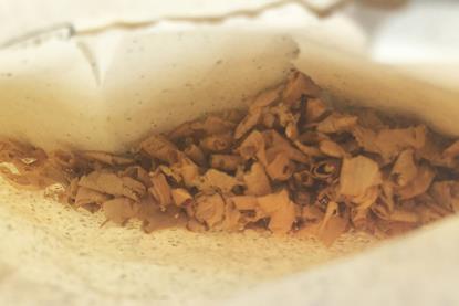 1710 Stradivari Dancla Shavings