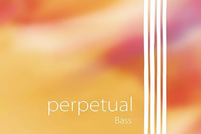 Pirastro_Bass_Perpetual_rgb
