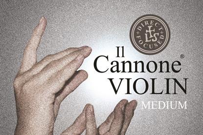 cannone DF violin medium carton 300dpi CMYK
