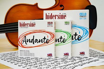 Hidersine Andante Violin Strings 2000 (7)