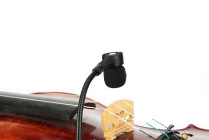 xvive 1