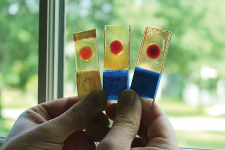 3. Glass slides & pigment samples