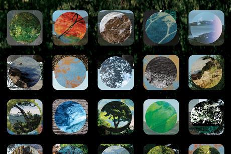 She Looks up at the Trees