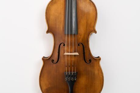 01 Viola top