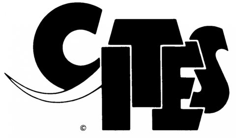 cites