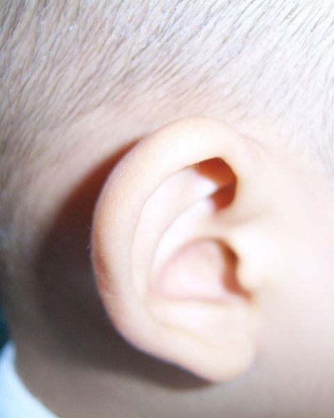 Ear_Web