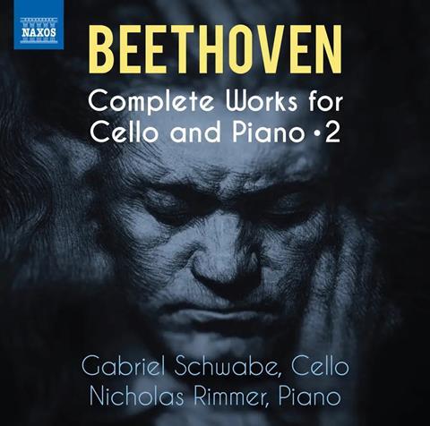 Gabriel Schwabe: Beethoven