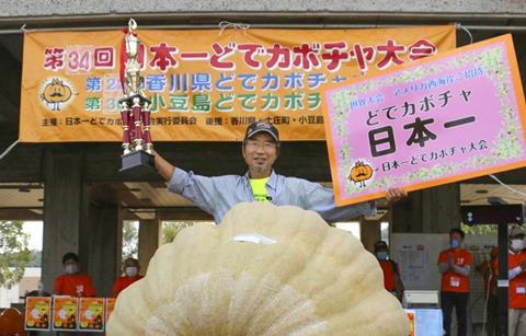 Massive pumpkin