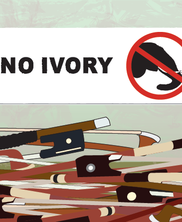 Ivory_Ban