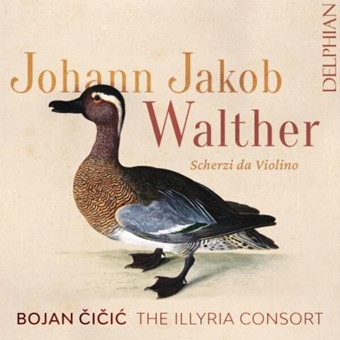 Bojan Čičić, Illyria Consort: Walther