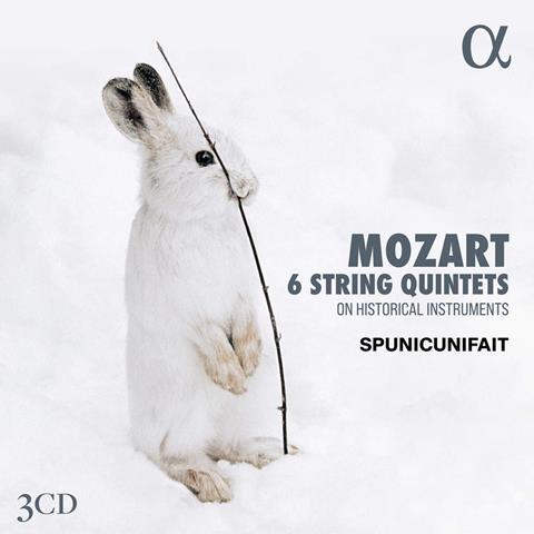 Spunicunifait: Mozart