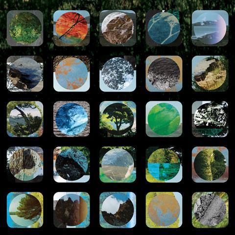 J.A.M. String Collective: She Looks up at the Trees