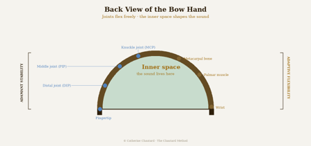 Back view of the bow hand: the dome arch from fingertip to wrist, with the inner space at its centre.