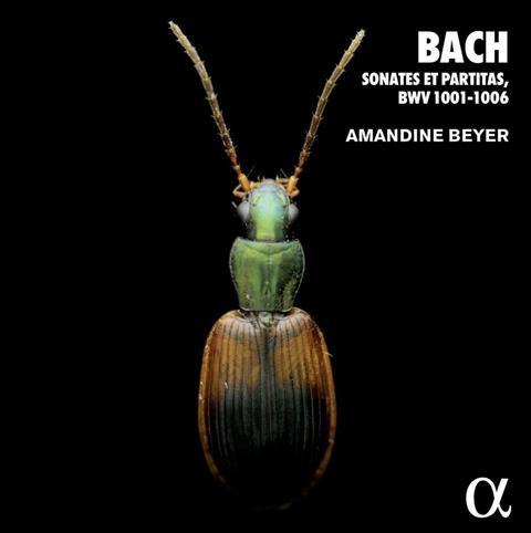 Bach Beyer