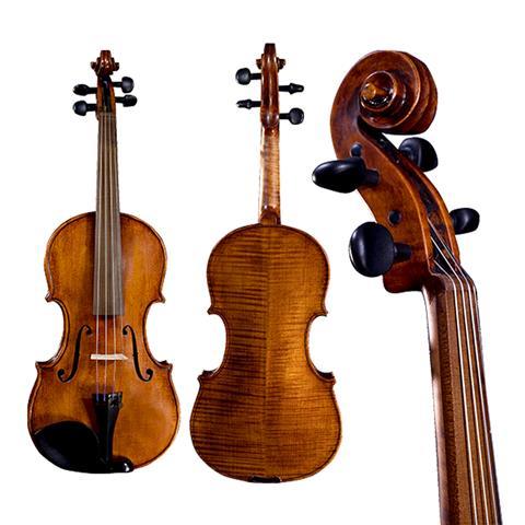 V-Richelieu Violin With-Sonowood-Fingerboard-Image-010