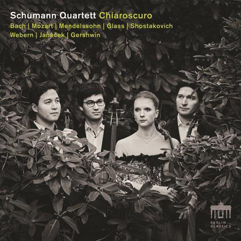 Schumann Chiaroscuro