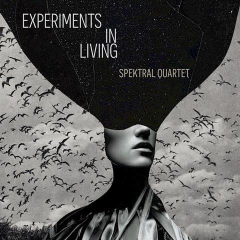 Spektral Quartet: Experiments in Living