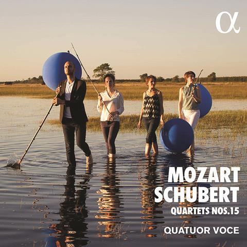 Mozart Voce