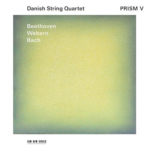 Danish Quartet: Prism V