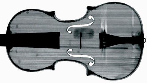 Wilmotte Stradivari