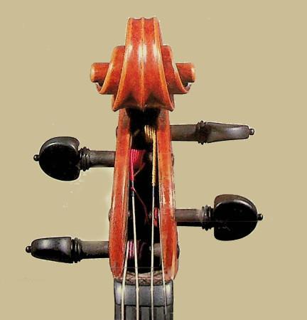 Mantegazza viola scroll