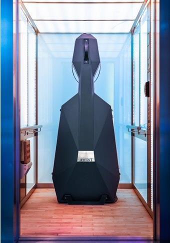 Double bass case hot sale