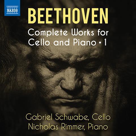 Gabriel Schwabe: Beethoven