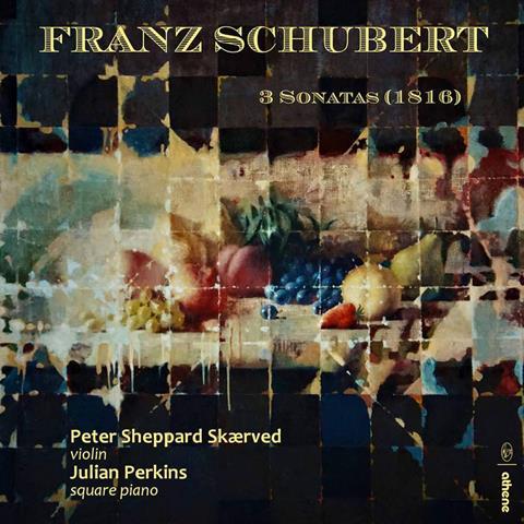 Peter Sheppard Skærved: Schubert