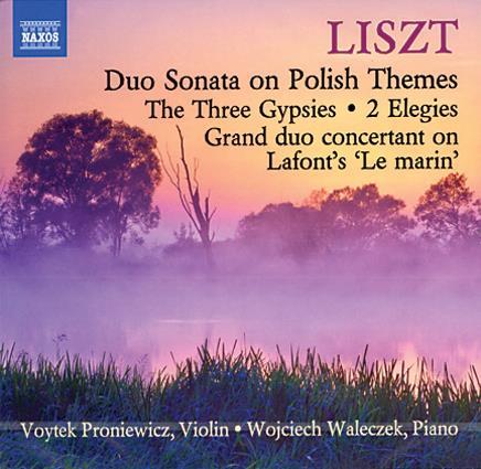 Liszt-Voytek