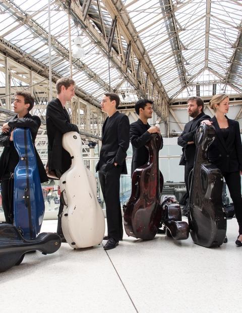 Cellophony_Waterloo