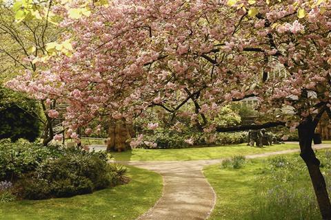 Portman Square Garden