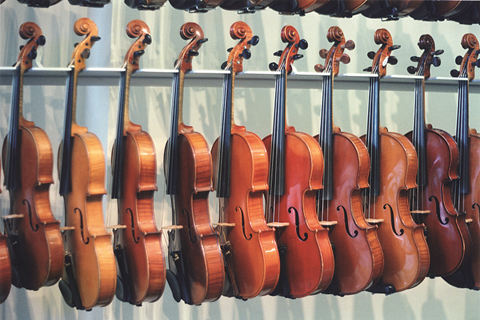 Violin types and deals prices