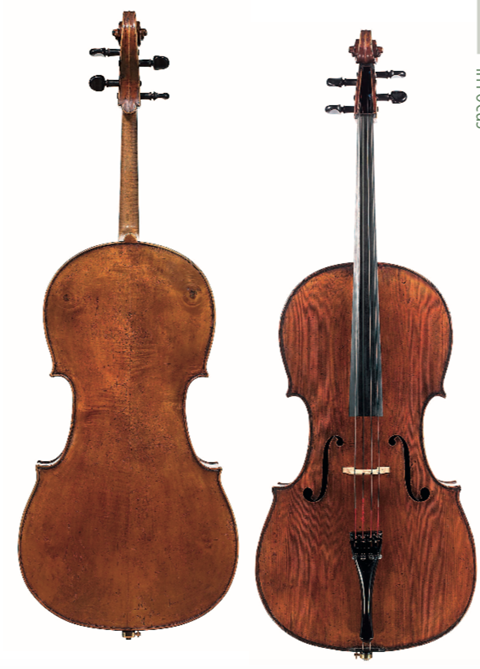 1817 cello by Giacomo Rivolta