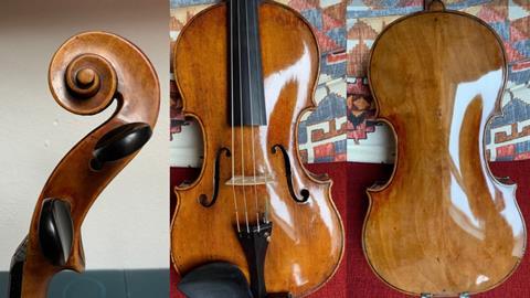 Viola Francesco Mantegazza