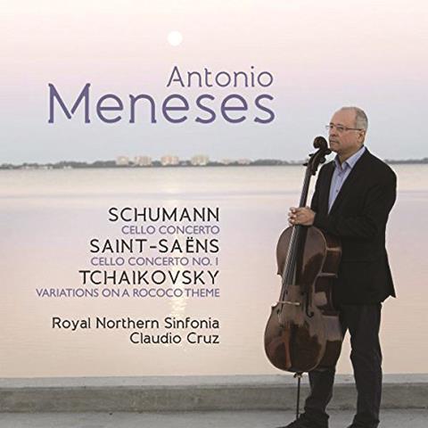 Schumann A Minor Violin Sonata Program Notes