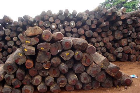 Illegal_rosewood_stockpiles_003