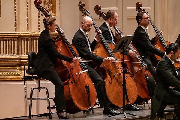 Vienna Philharmonic Orchestra calms crowds following terrorist attacks