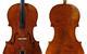 1734 Gagliano cello crop